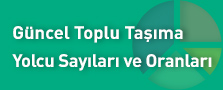 yolcu istatistikleri